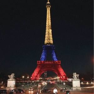 Meet your Posher, Alfonso